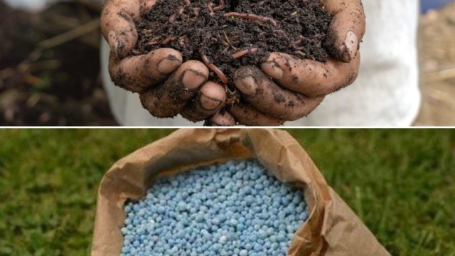 From Dirt to Delight: Unleashing the Power of Organic Soils and Fertilizers