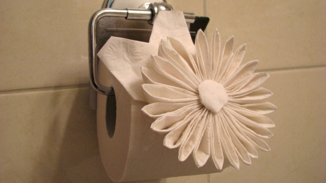 The Great Toilet Paper Debate: Single Ply or Double Ply?