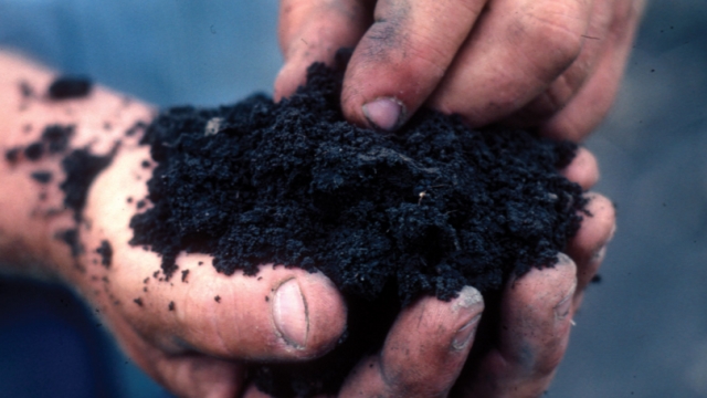 The Power of Organic Soils: Unleashing Nature’s Potential