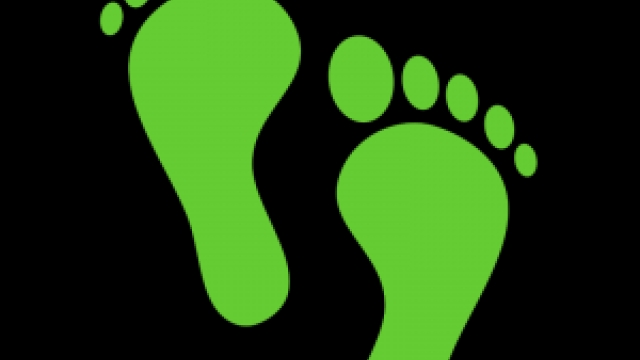 Sole-utions for Healthy Feet: Get to Know Forest Hills Podiatry!