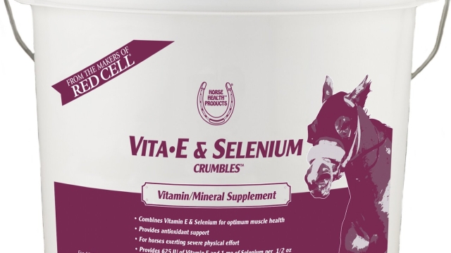 The Essential Guide to Boosting Horse Health with Supplements