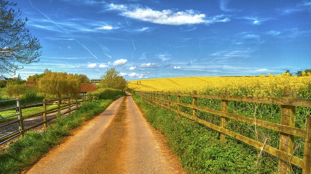 Fencing Showdown: Chain Link vs. Wood – Which is the Best Choice?