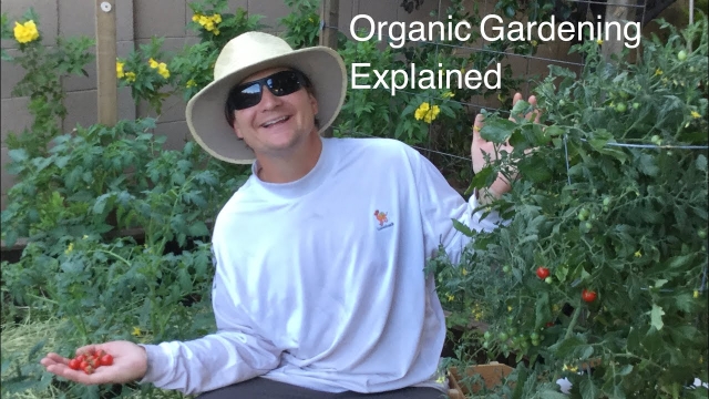 The Natural Harmony: Mastering Organic Gardening