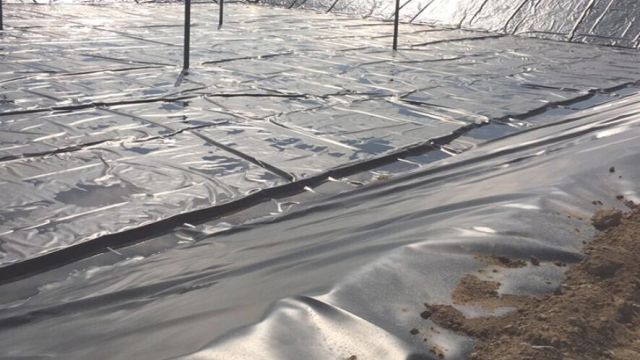 Uncovering the Secrets of Geomembrane: The Unsung Hero of Environmental Protection