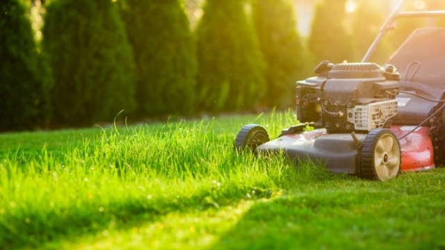A Green Oasis: Mastering the Art of Lawn Care