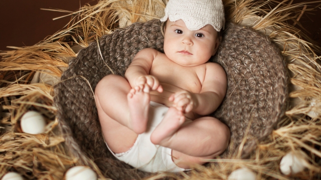 Capturing Innocence: The Art of Newborn Photography