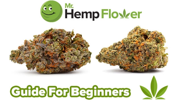 Blooming with Benefits: Unveiling the Power of THCA Flower