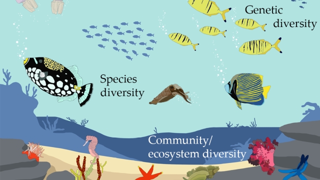 Exploring the Symphony of Life: Ecology and Biodiversity Unveiled