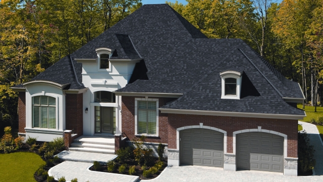 Raising the Roof: A Guide to Stylish and Functional Roofing Options