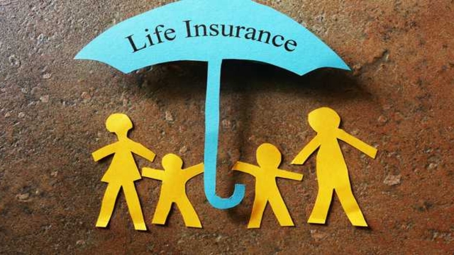 Beyond the Policy: Unpacking the Art of Insurance Marketing