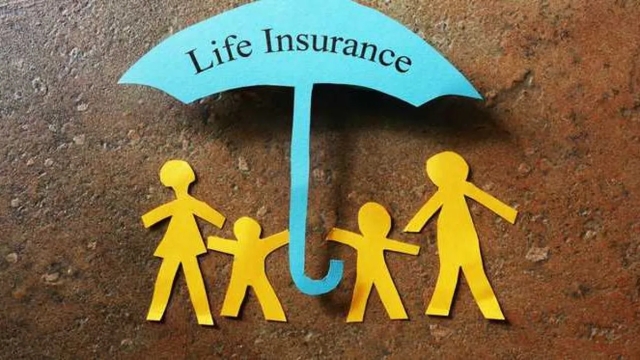 Insuring Your Peace of Mind: A Guide to Understanding Insurance Services