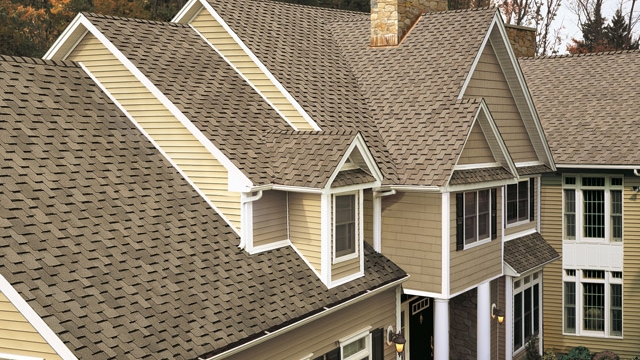 Elevate Your Home’s Aesthetic: Mastering Siding, Roofing, Windows, and Gutter Guards