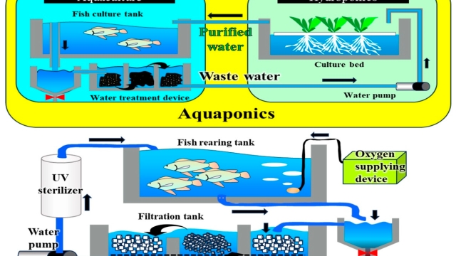 Revolutionizing the Waters: The Future of Aquaculture Technology