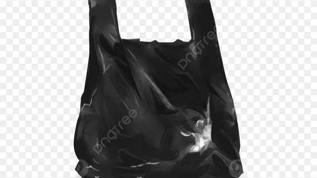 Unbagging the Truth: The Environmental Cost of Plastic Shopping Bags